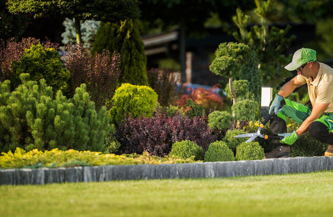 Gartenpflege | GR Bautenschutz – Fassadenbeschichtung vom Profi